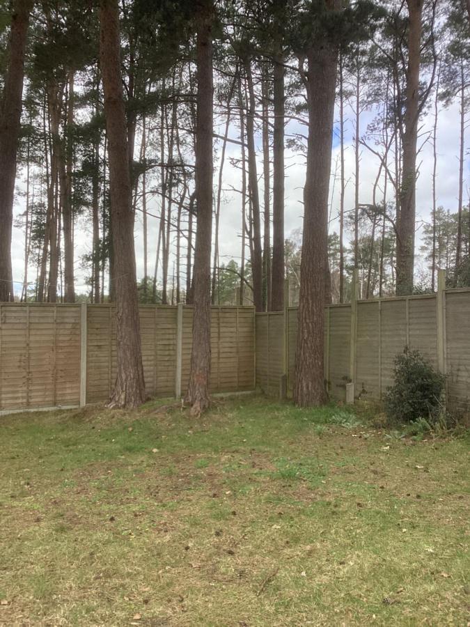 Forest Heath Holidays - Denphyl リングウッド エクステリア 写真